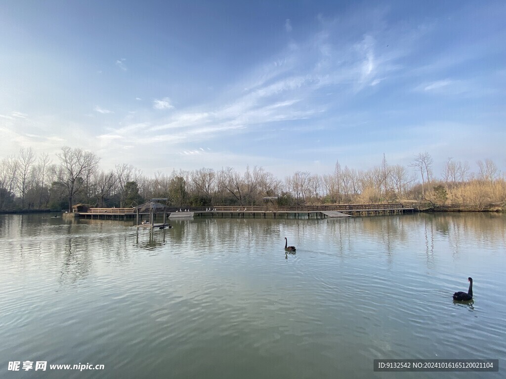 溱湖湿地公园