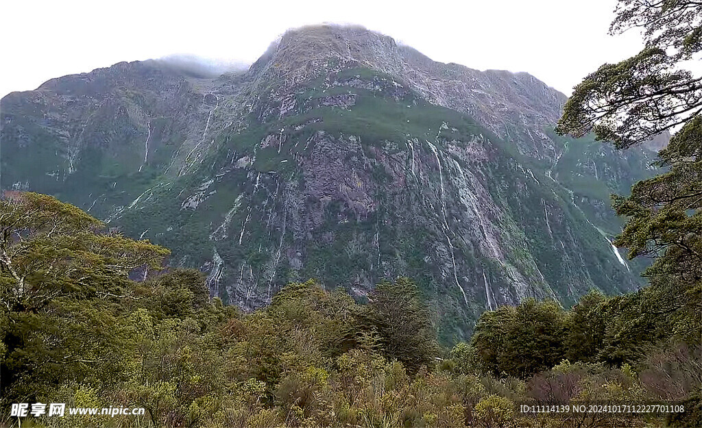 新西兰峡湾风景