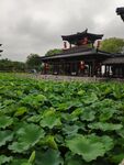 三国城风景