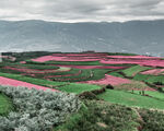 东川红土地