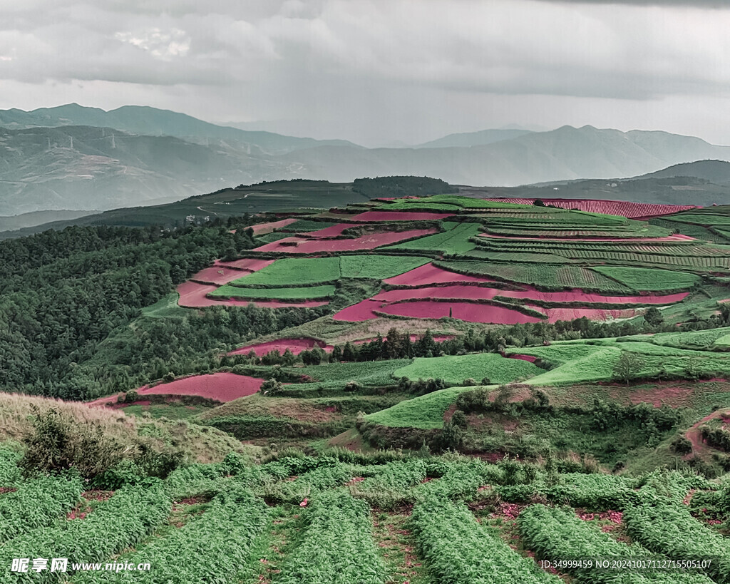 东川红土地 