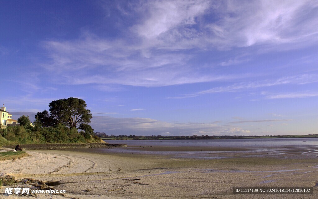 奥克兰海边风景