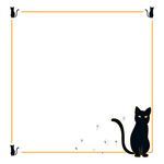  猫咪边框