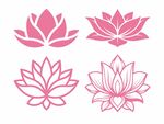 莲花图案