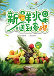 水果海报