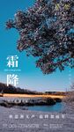 霜降柿柿平安海报展板简约大气