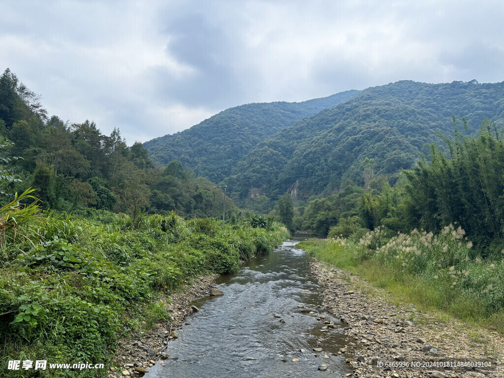 青青河岸边