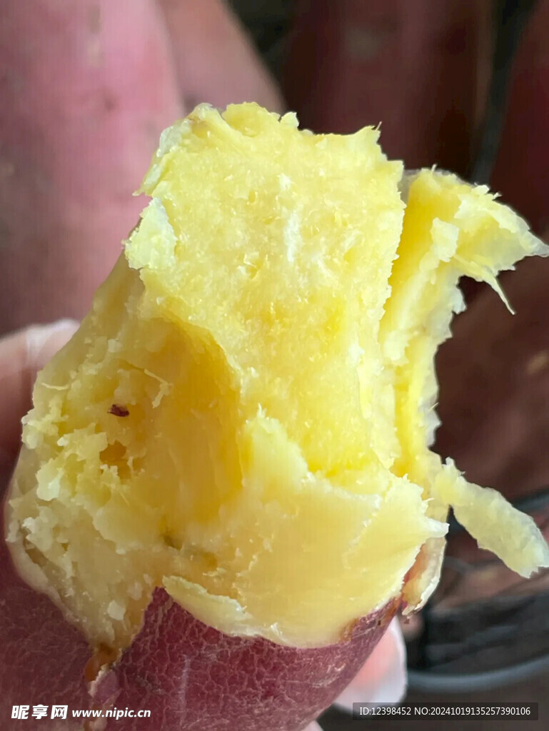 红薯