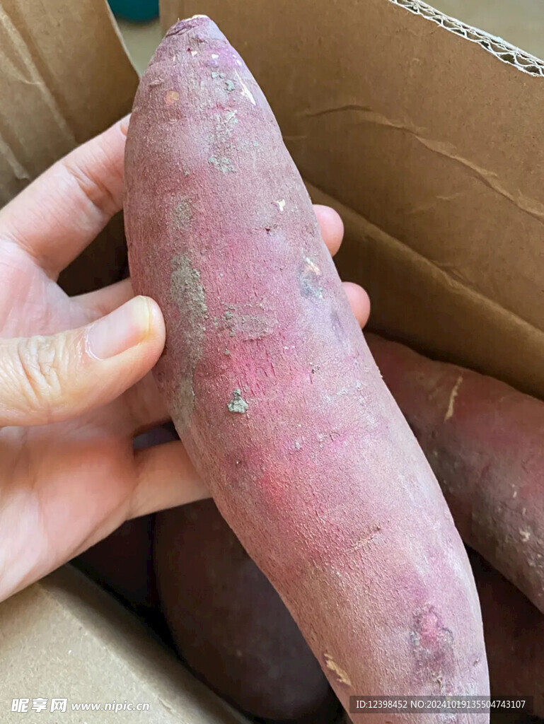 红薯