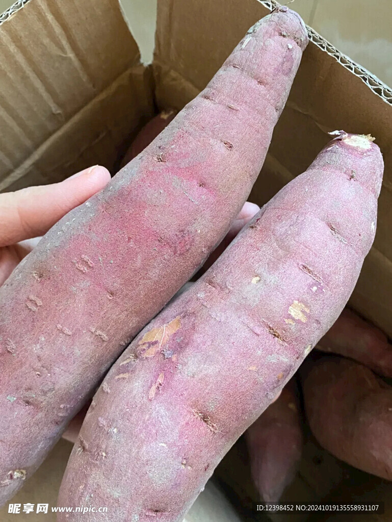 红薯