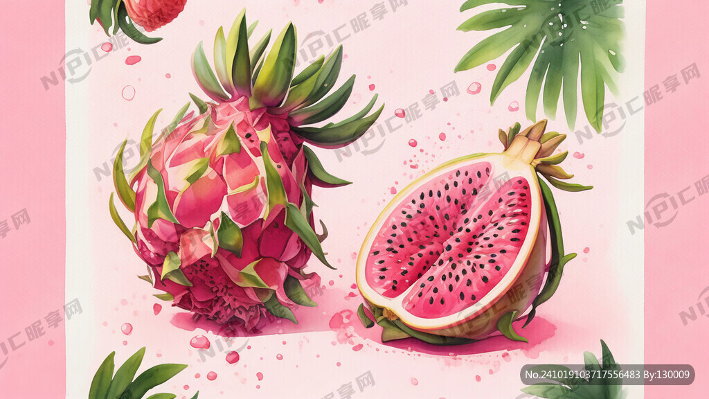 水彩画风  粉红火龙果    