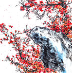 中国画腊梅