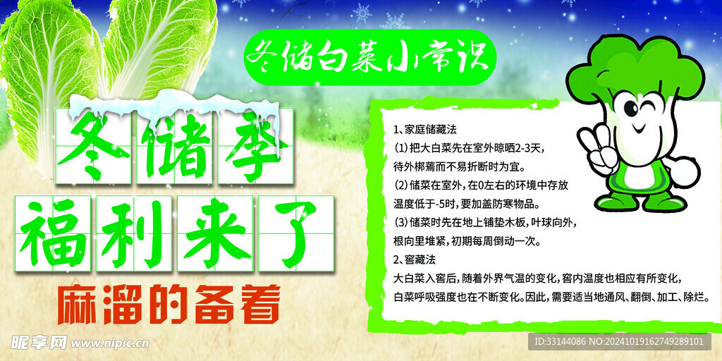 冬储白菜