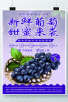 葡萄海报