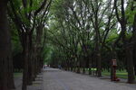 公园风景  