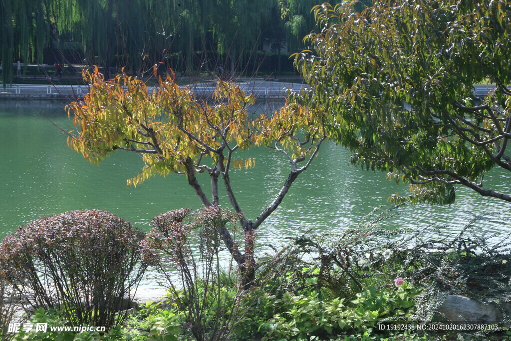 陶然亭风景  