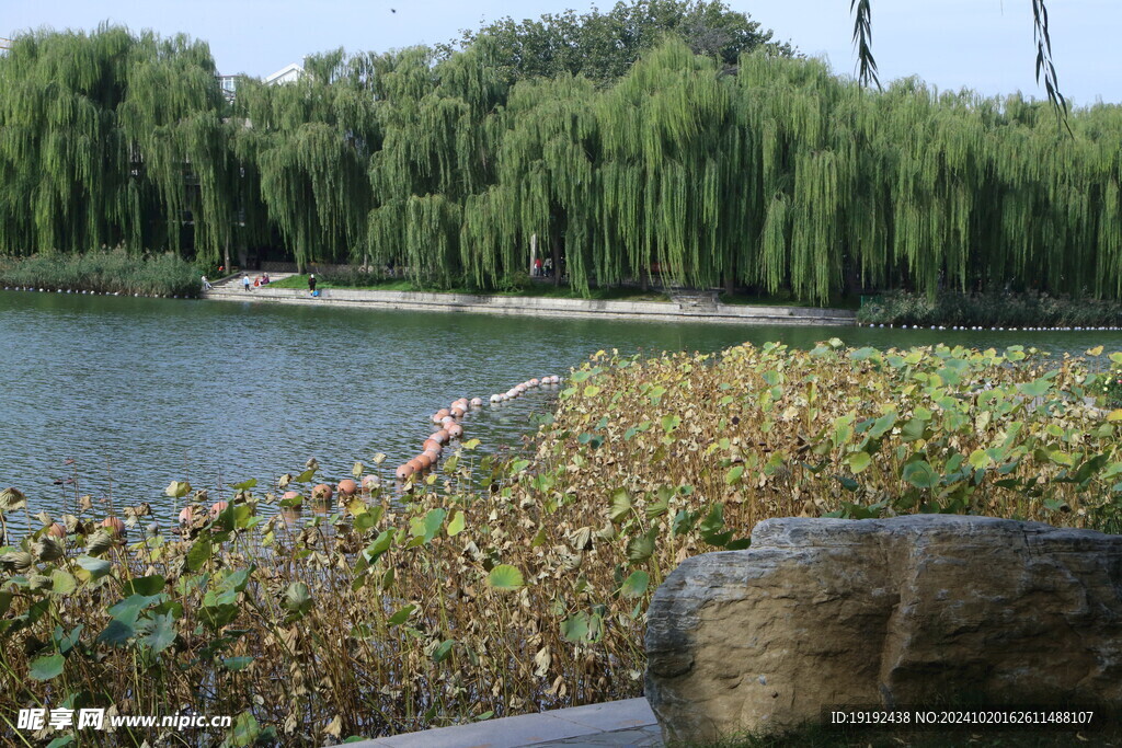 陶然亭风景 