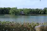 公园风景 
