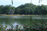 公园风景 