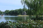 公园风景 