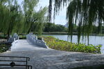 公园风景  