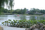 公园风景 