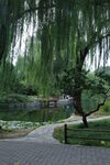 公园风景 