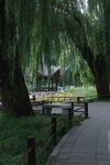 公园风景  