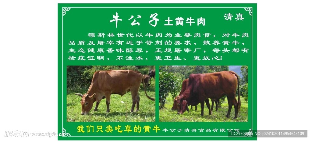 牛公子土黄牛肉