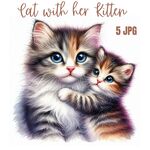 猫咪
