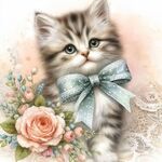 猫咪