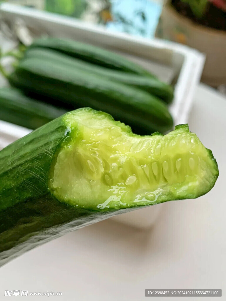 黄瓜