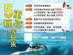 游泳培训招生海报