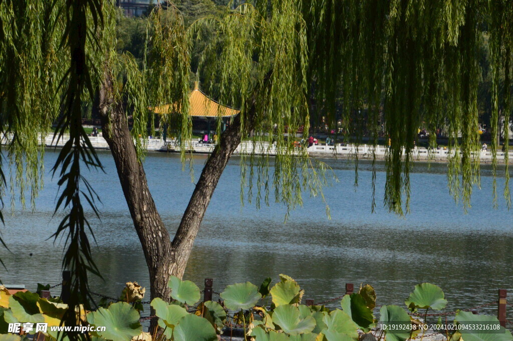 公园风景  