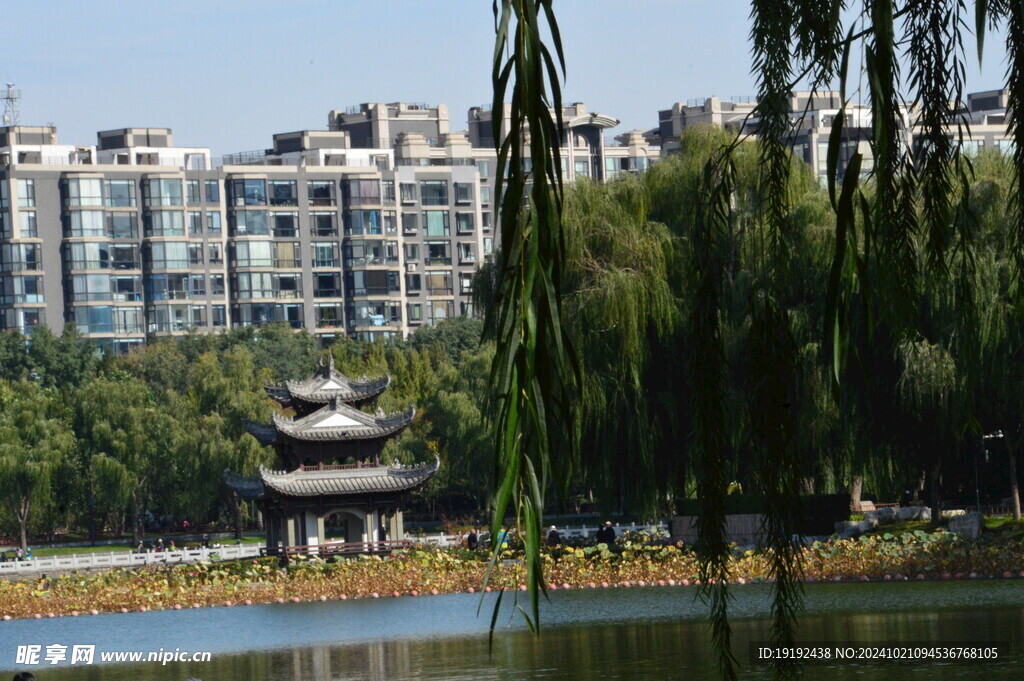 公园风景 