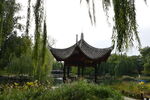 公园风景 