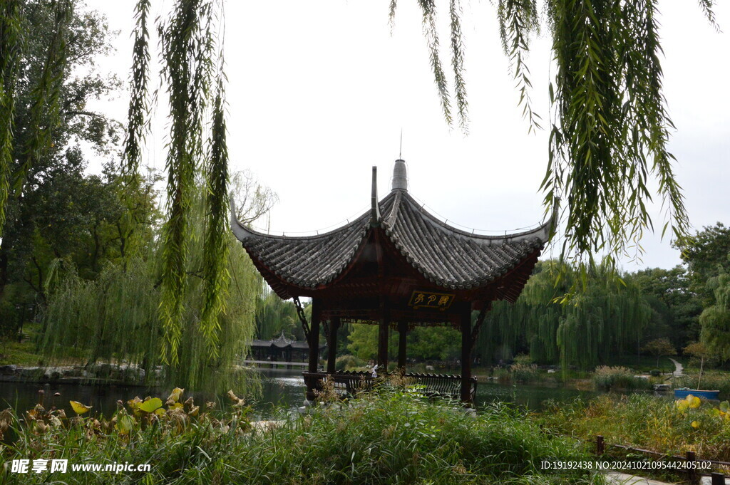 公园风景 
