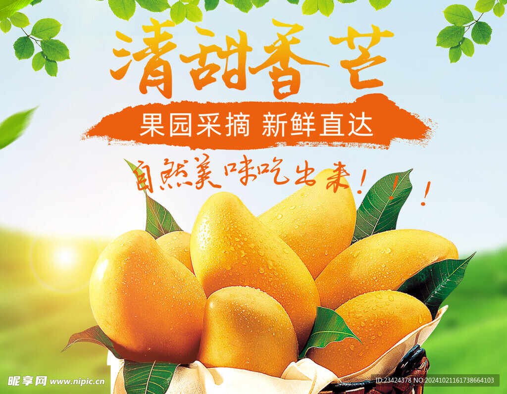 芒果海报
