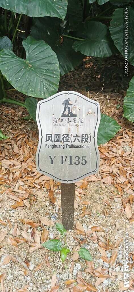 凤凰径 六段 YF135
