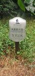 凤凰径 六段 YF134