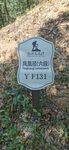 凤凰径 六段 YF131