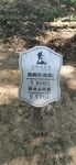 鲲鹏径 四段 YK065