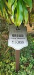 鲲鹏径 四段 YK058