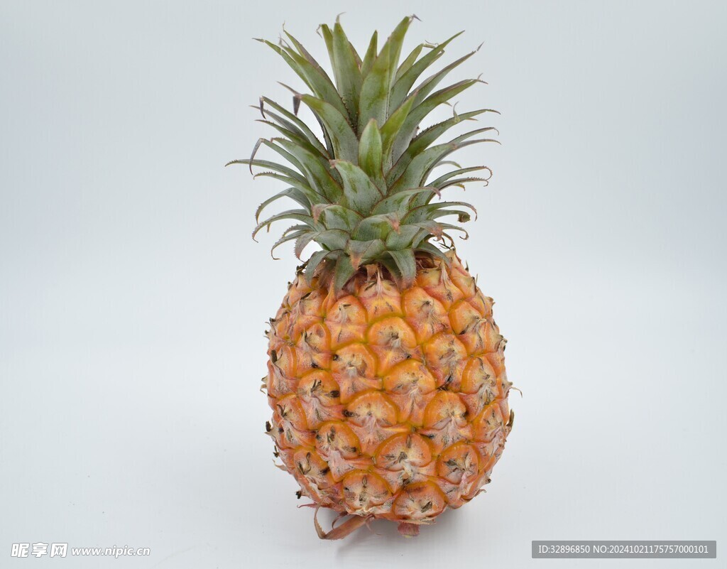 菠萝