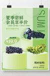 葡萄海报