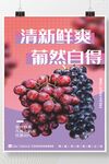 葡萄海报