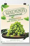 葡萄海报