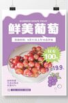 葡萄海报