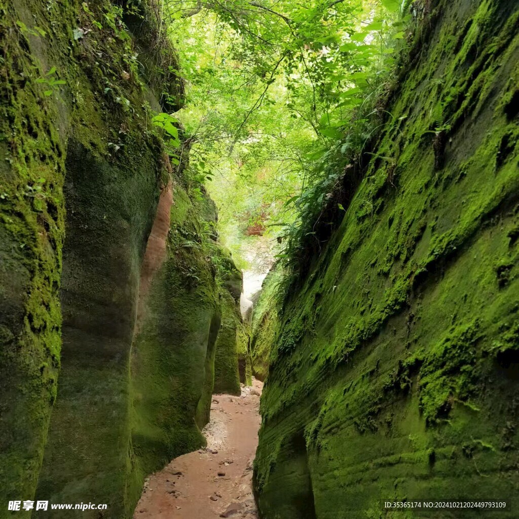 峡谷