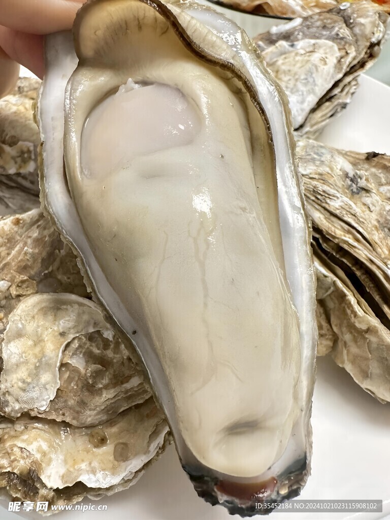 生蚝